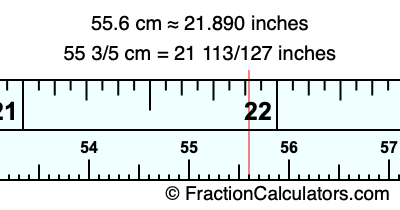 55.6 cm in inches