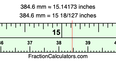 384.6 mm in inches