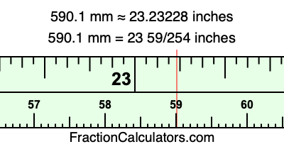 590.1 mm in inches