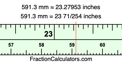 591.3 mm in inches