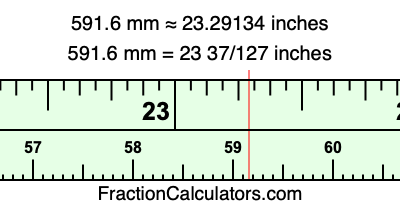 591.6 mm in inches