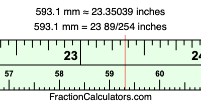 593.1 mm in inches